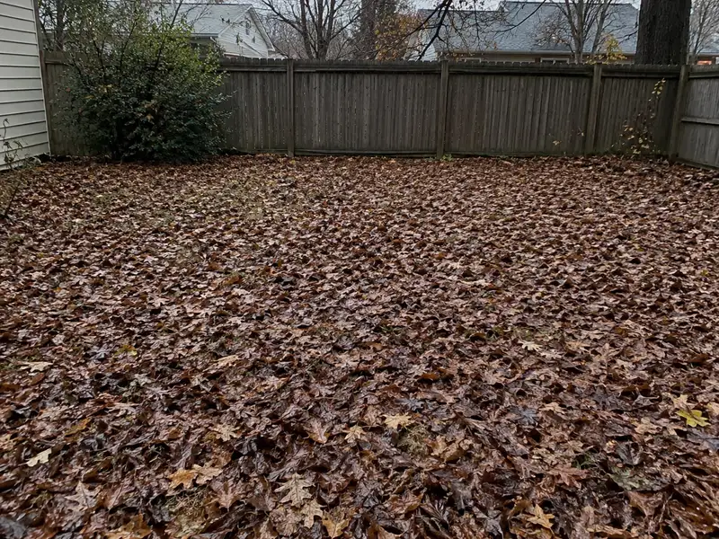 A small backyard lawn covered edge to edge by a thick, wet mat of fallen leaves flattened by rain