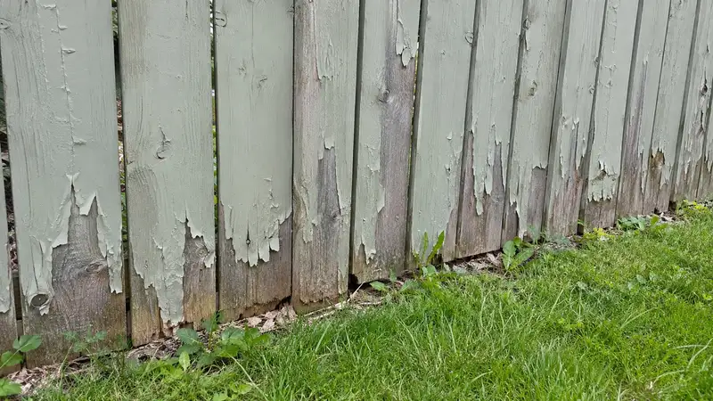 Lower half of a grey-green painted board fence with paint curling off in strips, bare grey wood showing near the grass