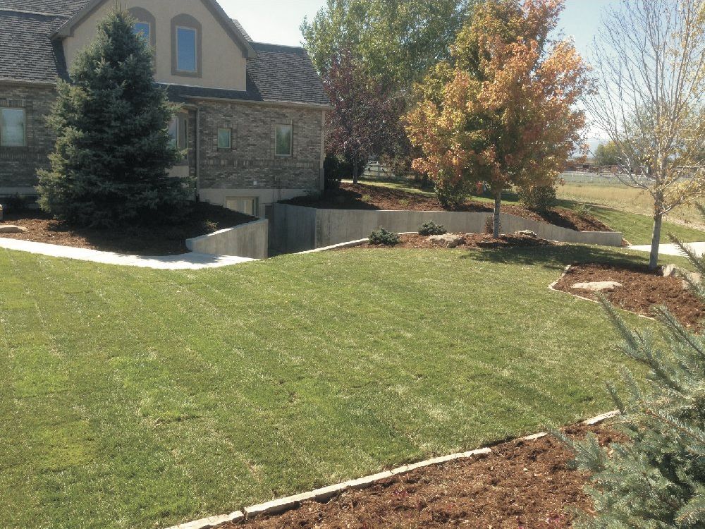 The same side yard with fresh green sod, a curved interlock border and newly mulched beds around an evergreen