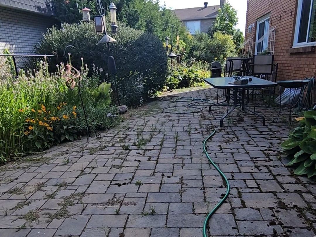 Backyard interlock patio beside a brick house with weeds and moss growing in the joints and dark stains on the pavers