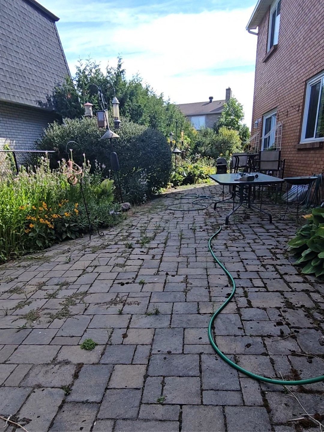 Backyard interlock patio beside a brick house with weeds and moss growing in the joints and dark stains on the pavers