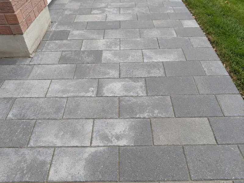 Grey concrete pavers in a running-bond pattern, several of them covered in patches and streaks of chalky white film next to clean ones